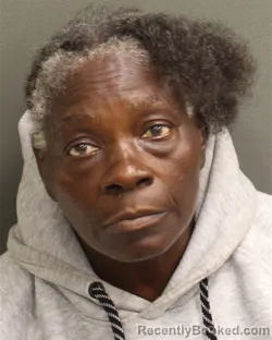 Mugshot of Lucy Felix Lendor booked in Orange County, Florida on August 19, 2026