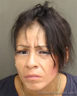 Mugshot of Priscilla Ann Fernandez booked in Orange County, Florida on September 12, 2026