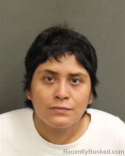 Mugshot of Karla Melissa Valenzuelacuba booked in Orange County, Florida on September 17, 2026