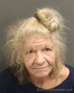 Mugshot of Cindy Rettell Burns booked in Orange County, Florida on September 18, 2026
