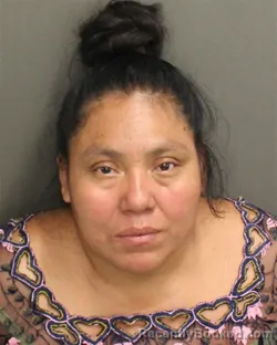 Mugshot of Irma Yolandabutz booked in Orange County, Florida on September 21, 2026