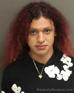 Mugshot of Aviana Elizabeth Reyez booked in Orange County, Florida on September 27, 2026