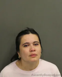 Mugshot of Laziza Ibragimova booked in Orange County, Florida on October 3, 2026