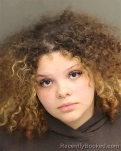 Mugshot of Lillian Elise Hernandez booked in Orange County, Florida on October 6, 2026