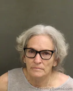 Mugshot of Janet Gale Richardson booked in Orange County, Florida on October 8, 2026