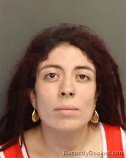 Mugshot of Viviana Michel Galeanocadena booked in Orange County, Florida on October 9, 2026