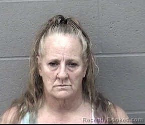 Mugshot of DAWN MARIE SCHALL