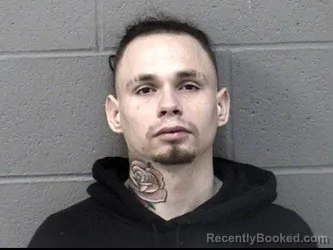 Mugshot of JAMES DALE MCNEELY