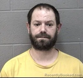 Mugshot of MICHAEL WAYNE SWAN