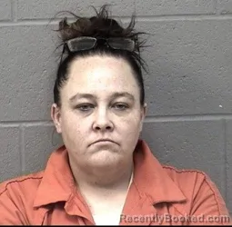 Mugshot of ASHLEY ANN ELLISON