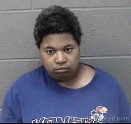 Mugshot of ROMIE NICOLE EHRNMAN