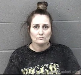 Mugshot of DEANNA DAWN PETTIT
