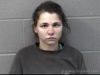 Mugshot of VANITY MCKEE MCINTIER