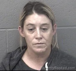 Mugshot of NICOLE MARIE LEE