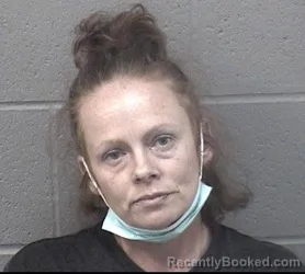 Mugshot of AMBER DAWN BURDICK