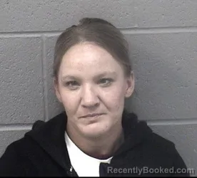 Mugshot of MEGAN MICHELLE HOUGHTON