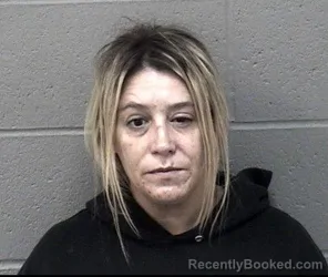 Mugshot of NICOLE MARIE LEE