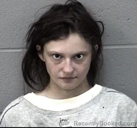 Mugshot of MADISON LEE RAY
