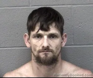 Mugshot of LEVI ALEXANDER WIGGANS