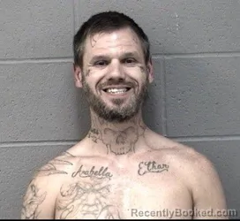 Mugshot of DEREK LEE SWAN