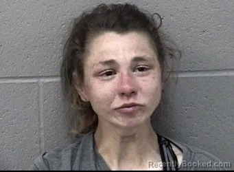 Mugshot of VANITY MCKEE MCINTIER booked in Crawford County, Kansas on April 3, 2026