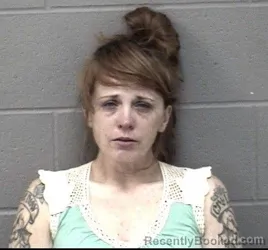 Mugshot of ASHLEY MARIE HUNTER booked in Crawford County, Kansas on April 14, 2026