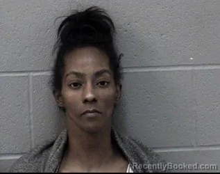 Mugshot of NIKKI KAKEIA DAVIS booked in Crawford County, Kansas on April 15, 2026