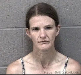 Mugshot of NOEL JOY LEWIS booked in Crawford County, Kansas on May 2, 2026