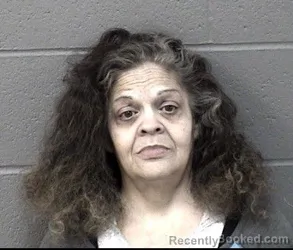 Mugshot of LEE ANN SIMONCIC booked in Crawford County, Kansas on May 5, 2026