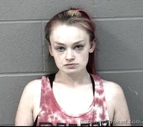 Mugshot of KASSANDRA KAYJAMI DEMARANVILLE booked in Crawford County, Kansas on May 15, 2026