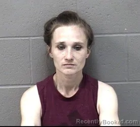 Mugshot of CHRISTINA DANIELLE BARTON booked in Crawford County, Kansas on June 2, 2026