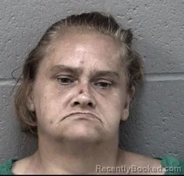 Mugshot of MANDY MARIE YOUNCE booked in Crawford County, Kansas on June 3, 2026