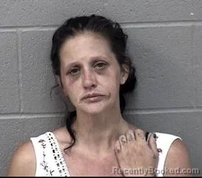 Mugshot of SARAH ANN SING-FARMER booked in Crawford County, Kansas on June 11, 2026