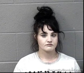 Mugshot of ELISSA ELAINE STURGELL booked in Crawford County, Kansas on June 12, 2026