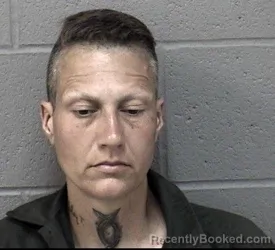 Mugshot of CRYSTAL RAY STEVENS booked in Crawford County, Kansas on June 14, 2026