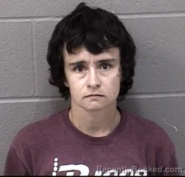 Mugshot of LOREN NICOLE BOLEK booked in Crawford County, Kansas on June 17, 2026