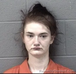 Mugshot of DALEANA MARIE PRYOR booked in Crawford County, Kansas on June 21, 2026