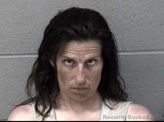 Mugshot of TAMARA BRIANNE GARCIA booked in Crawford County, Kansas on June 28, 2026