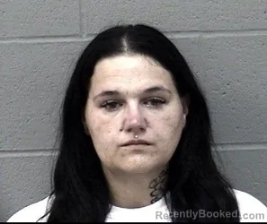 Mugshot of CEARA MARIE VILMER booked in Crawford County, Kansas on June 29, 2026