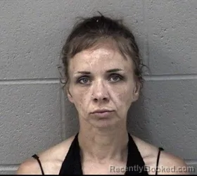 Mugshot of CHRISTINA RENEE LEER booked in Crawford County, Kansas on July 6, 2026