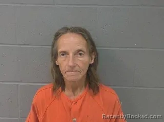 Mugshot of Tammie Irene Gideon booked in Crawford County, Kansas on August 11, 2026