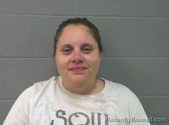 Mugshot of Megan Rae Neil booked in Crawford County, Kansas on August 23, 2026