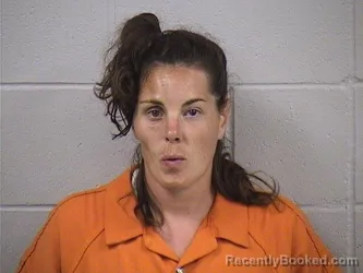 Mugshot of Ashley Nicole Harder booked in Dickinson County, Kansas on August 18, 2026