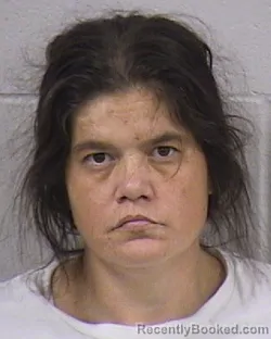 Mugshot of Alexandria Megan Houk booked in Dickinson County, Kansas on October 25, 2026
