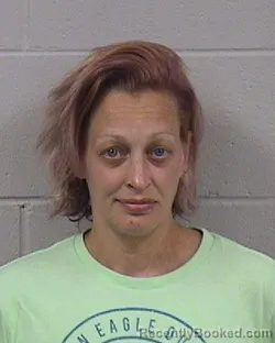 Mugshot of ALICIA MARIE NAPOLEONE booked in Dickinson County, Kansas on April 15, 2026