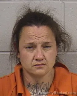 Mugshot of Amanda Star Wyrick booked in Dickinson County, Kansas on September 23, 2026