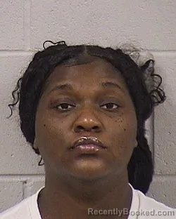 Mugshot of BERNAISHA CHANTEL BIRCH booked in Dickinson County, Kansas on March 24, 2026