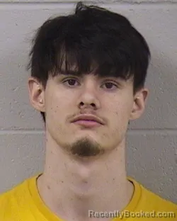 Mugshot of CHRISTOPHER MADISON BRYANT