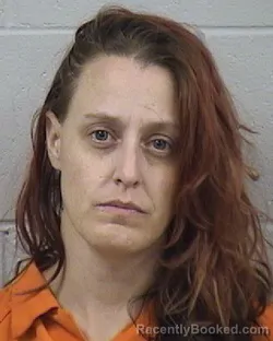 Mugshot of COURTNEY ADELE BISHOP booked in Dickinson County, Kansas on April 26, 2026