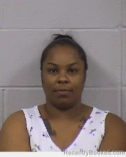 Mugshot of CATRINA MONIQUE PROFIT booked in Dickinson County, Kansas on August 2, 2026